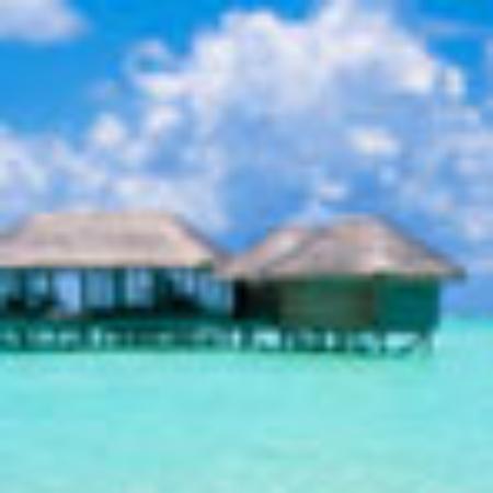 McClure's Restaurant